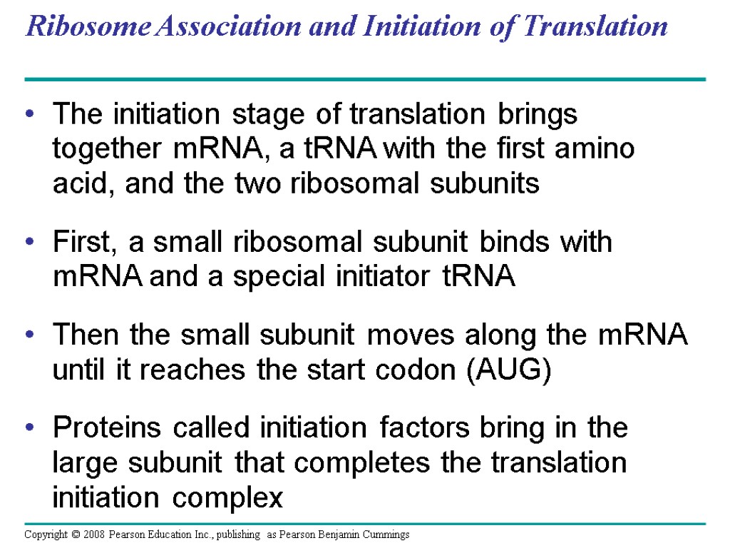 Ribosome Association and Initiation of Translation The initiation stage of translation brings together mRNA,